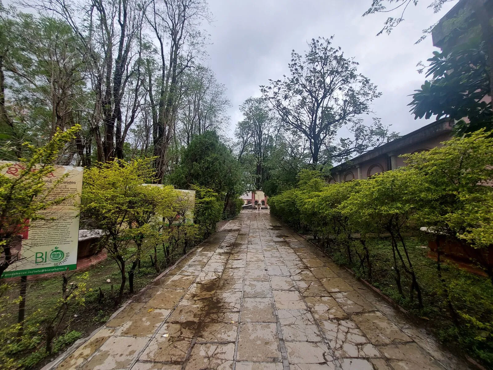 Parvati Hill Pune: Temple, Museum, Views & Travel Guide