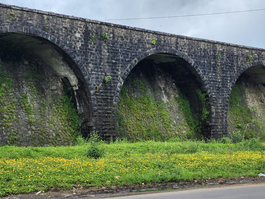 Lonavala Lake: Monsoon Magic & Picnic Spot