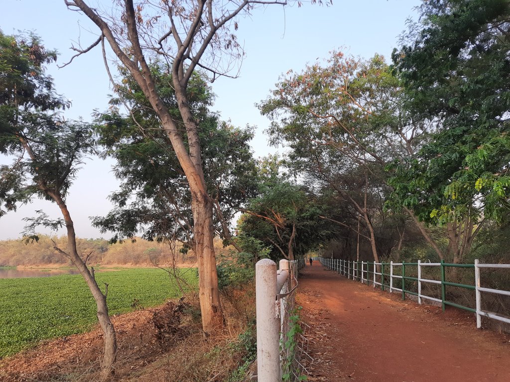 Pashan Lake Pune: Peaceful Nature Escape & Walks