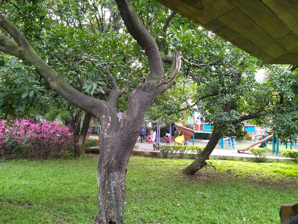 Visit Savitribai Phule Park Pune: Kids Play & Gym